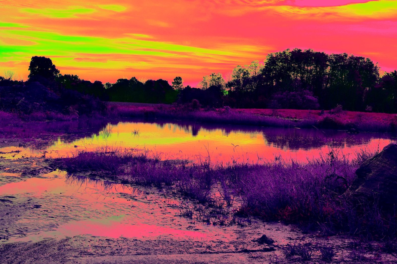 False Color Pond — Lancaster County. A farm pond at the end of the day, colors driven until the water is fire and the grass is magenta. The mud in the foreground is still mud.