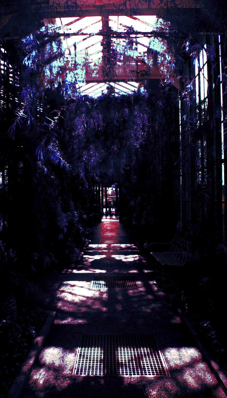Glass House — Conservatory. A greenhouse corridor. Iron, vines, floor grates catching stripes of light. A bench waiting on the right.