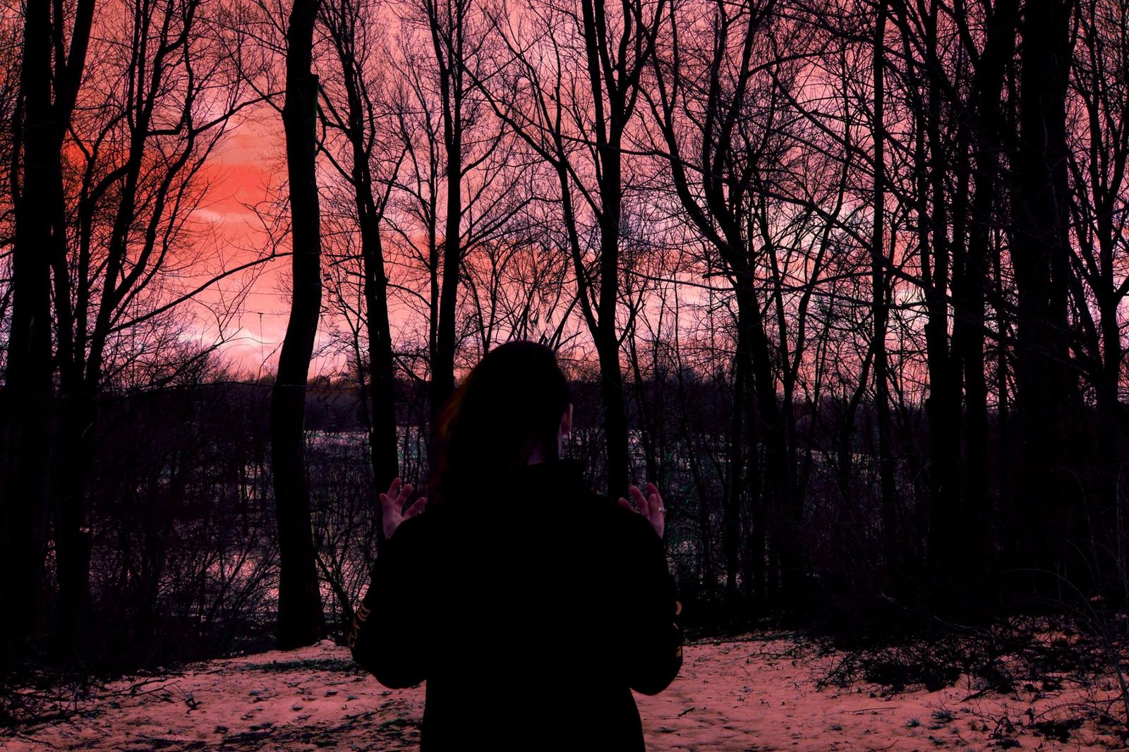 Hands to the Canopy — Lancaster County. A figure in black, palms open, winter trees, a sky on fire. Photographed from behind. The gesture is the subject.