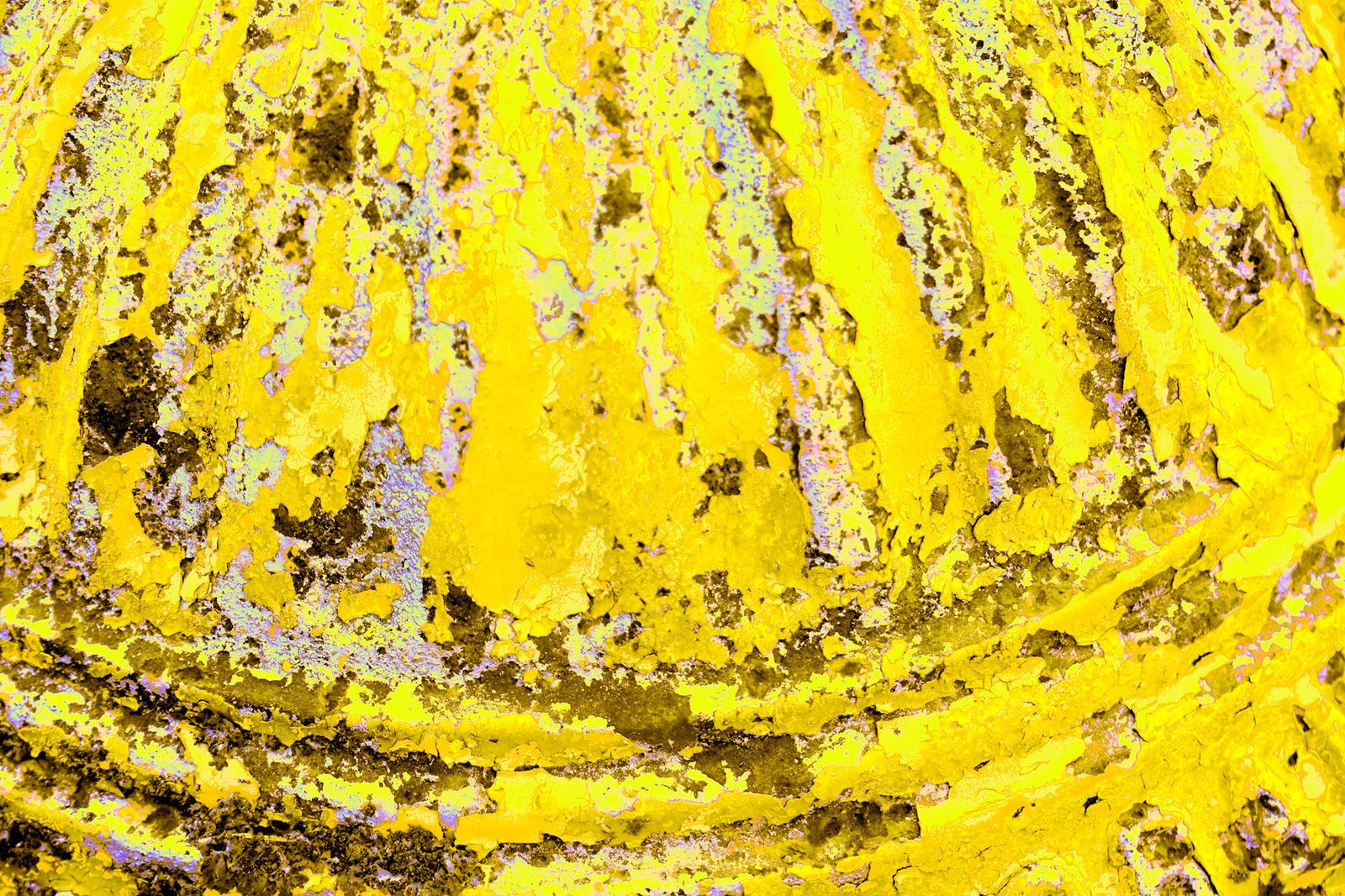 Peel — Lancaster County. Paint failing in sheets. Yellow over whatever used to be the wall. Texture as landscape. No horizon required.
