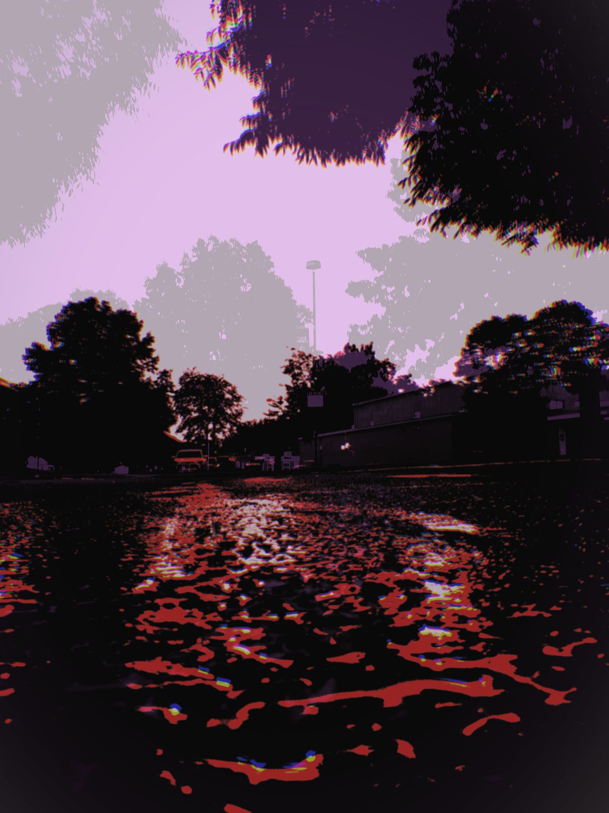 Red Water Lot — Lancaster County. Standing water on a lot, catching a violet sky. Trees cut into silhouette. The ground is doing more work than the buildings.