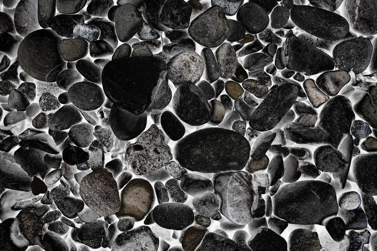 River Stones — Bone — Lancaster County. High-key, almost silver. The rocks as fossils of themselves.