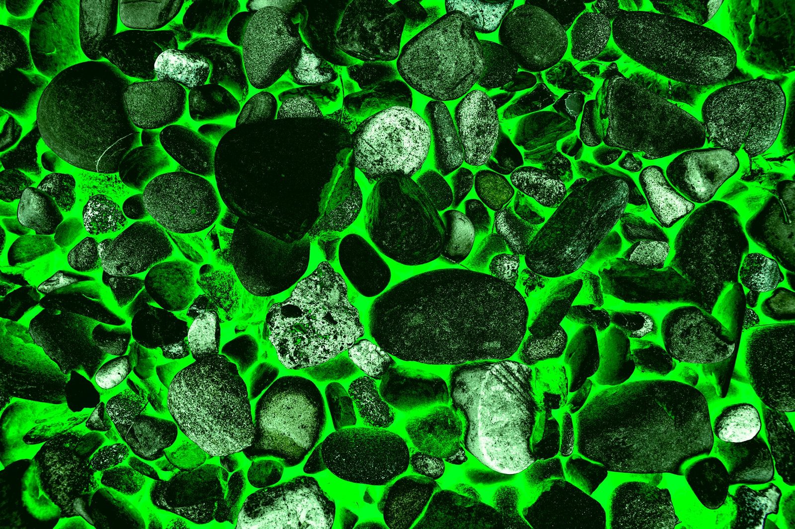 River Stones — Chlorophyll — Lancaster County. Green again, denser. Proof the camera can make a riverbed look like a circuit board.