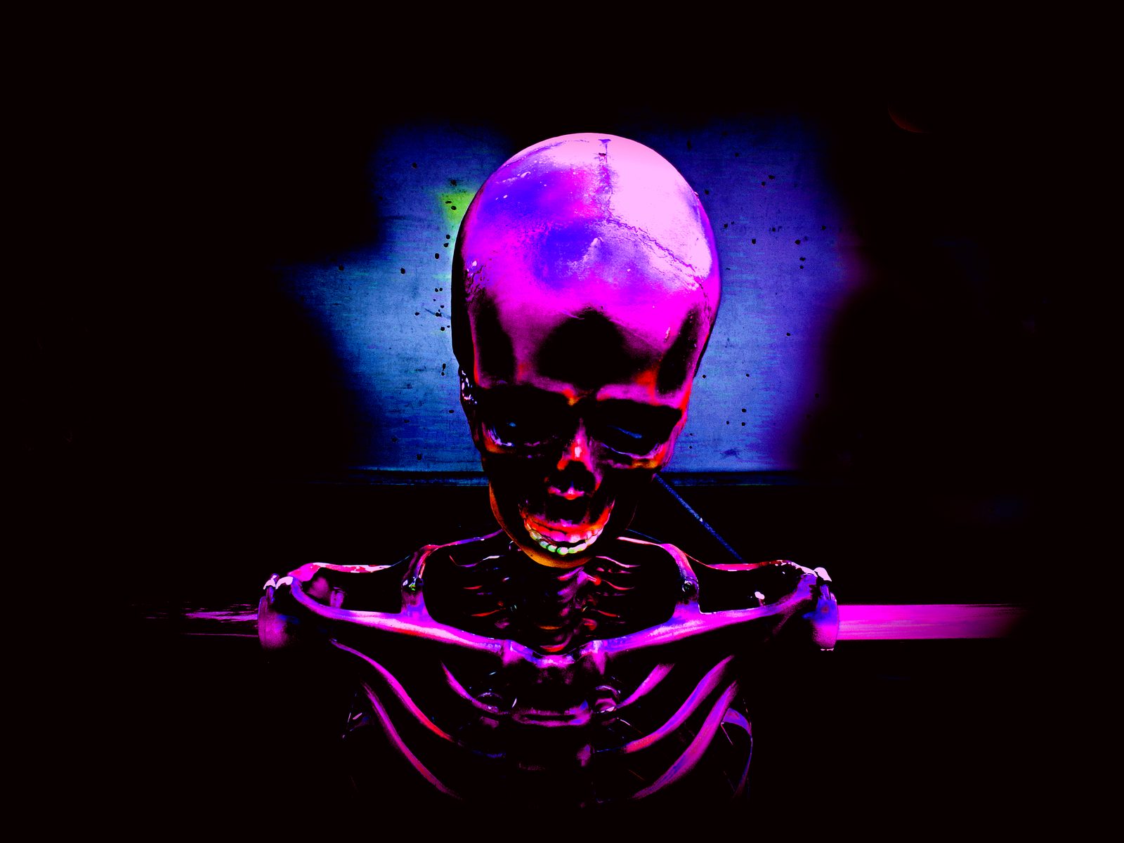 The Study Skull — Studio. A teaching skeleton under club color. Bone as sculpture. Not gore — a still life that happens to have teeth.