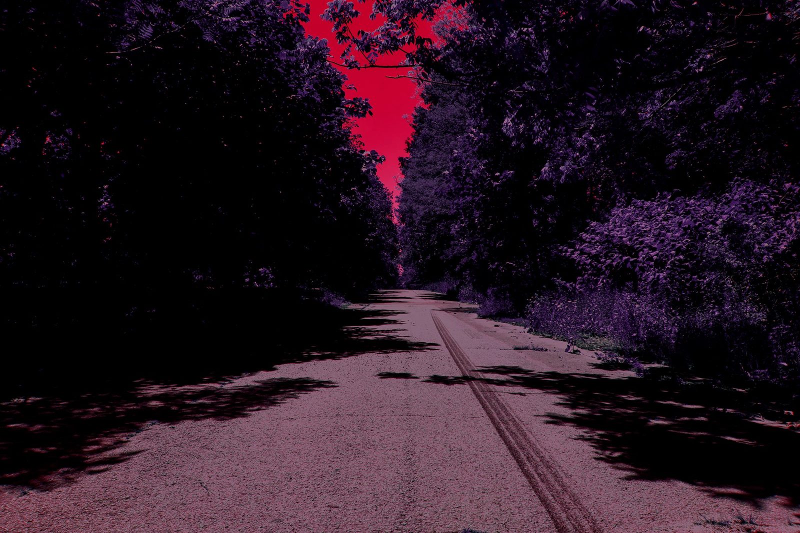 The Cut — Lancaster County. A road cut through trees, sky punched red. Tire tracks down the center. You can hear the quiet in this one.