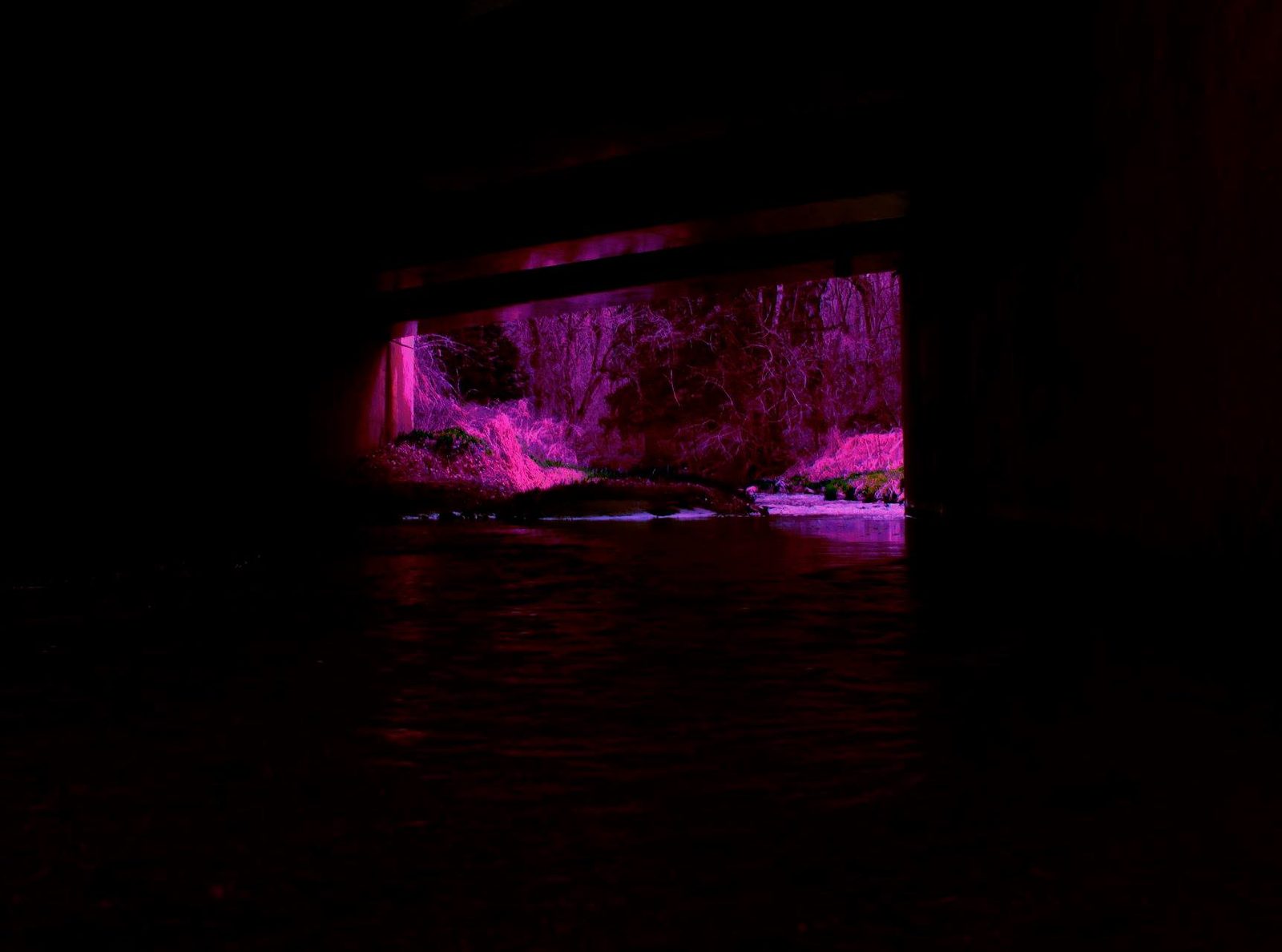 Under the Bridge — Lancaster County. Shot from the dark of a culvert. The rectangle of daylight is the whole photograph. Woods going magenta on the other side.