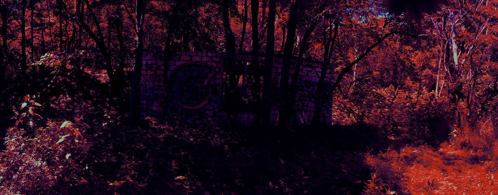 The Wall in the Trees — Lancaster County woods. A stone ruin with graffiti, half-swallowed by the woods. Not a monument. Someone’s leftover wall, still standing.